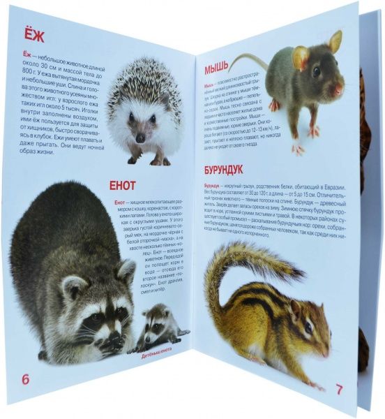 Книга Олег Завязкин «Большая книга. Дикие животные» 978-617-08-0260-6