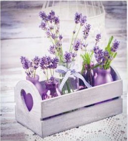 Фотоальбом UFO EVG 20sheet S29x32 LAVENDER