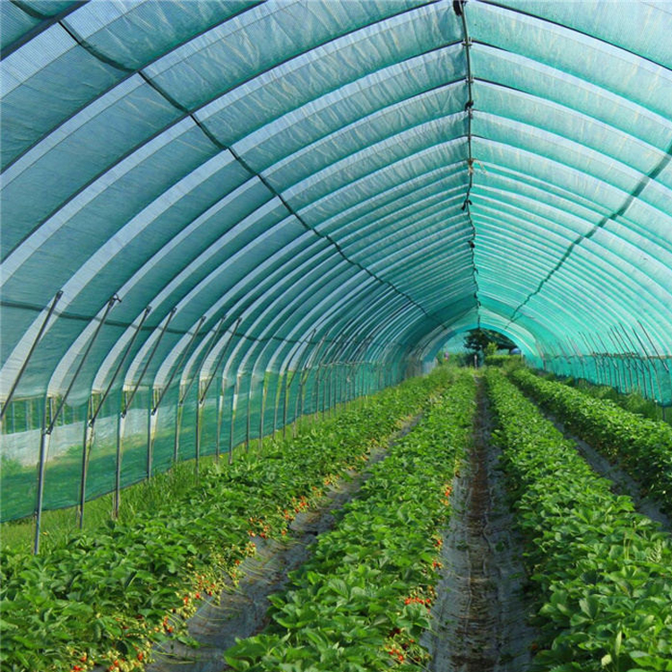 Сетка затеняющая 95% 4,0х50м темно-зеленая