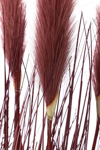 Растение искусственное Камыш A0167 бордо