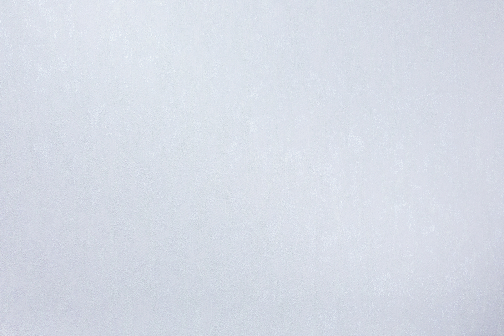 Шпалери зі спіненого вінілу Vinil Rains ДХС-1588/3 1,06x10,05 м