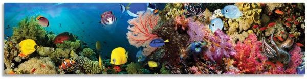 Наліпка на кухонний фартух Zatarga Акваріум