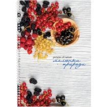 Книга для нотаток Малюнки природи: Калина А4 80 арк.O20330-33 Optima