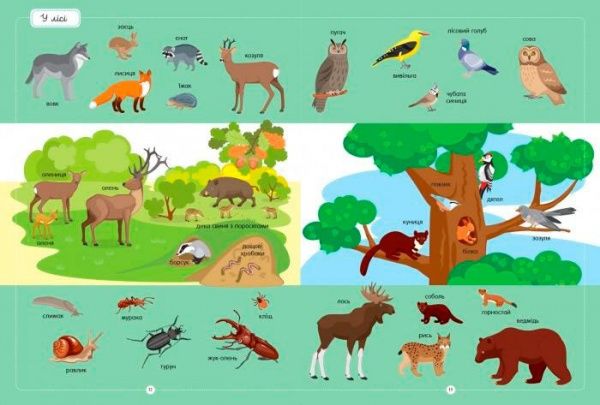 Книга Юлия Каспарова «Найкращий словник тварин» 978-617-09-5525-8