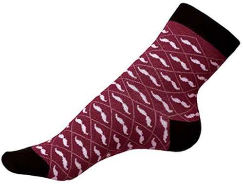 Шкарпетки ESLI ESLI CLASSIC 15С-2СПЕ 112 р. 25 чорно-біло-бордовий 1 шт. 