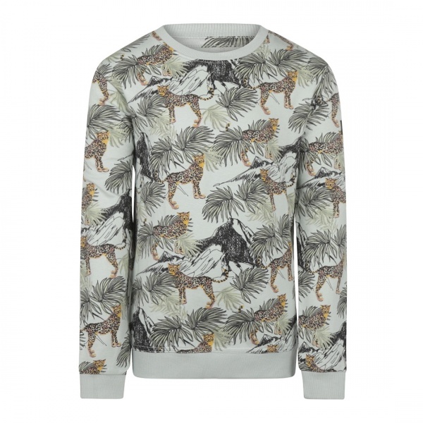 Реглан для хлопчика NWM р.134 світло-зелений U44191-1 