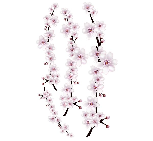 Декоративна наліпка Zatarga Квітуча гілка Z180045 44x73 см