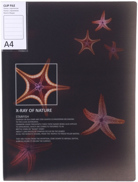 Папка с боковым прижимом Калейдоскоп в ассортименте Optima