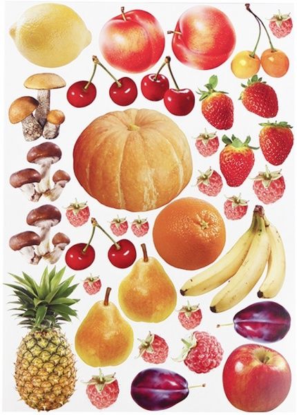 Набор текстурного картона Флора и Фауна А4 10 листов Лунапак