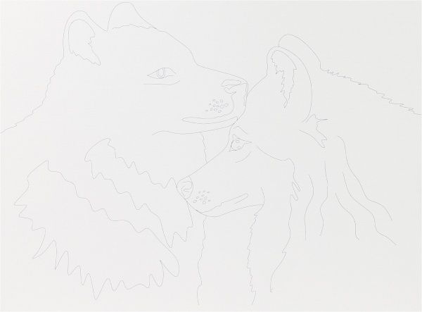 Картина за номерами Тварини № 5 Rosa Talent 