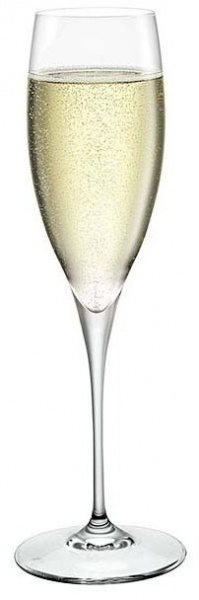Набор бокалов для шампанского Galileo Sparkling Wines XLT 260 мл 2 шт. Bormioli Rocco 