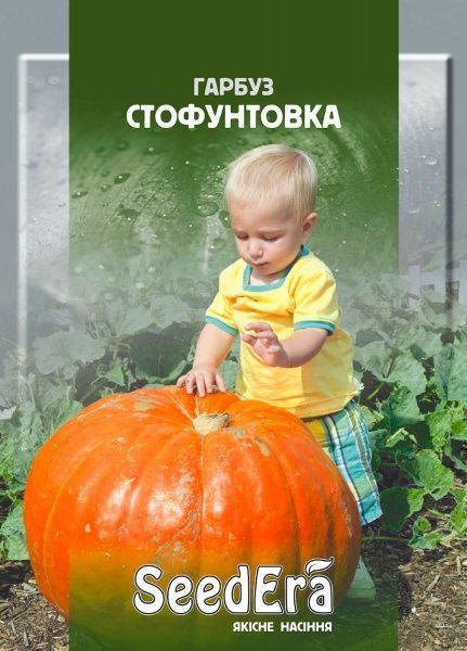 Семена Seedera тыква Стофунтовка 20г