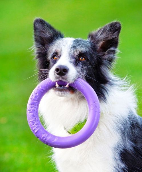 Снаряд тренировочный Puller Midi для собак 20 см