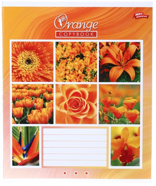 Тетрадь школьная 60 листов в линейку в ассортименте Мечты сбываются