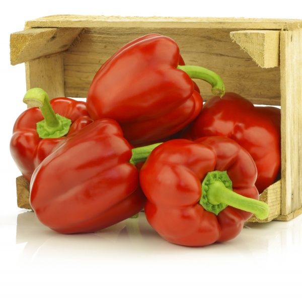 Семена Професійне насіння перец Синдерелла F1 8 шт. (4820176691033)