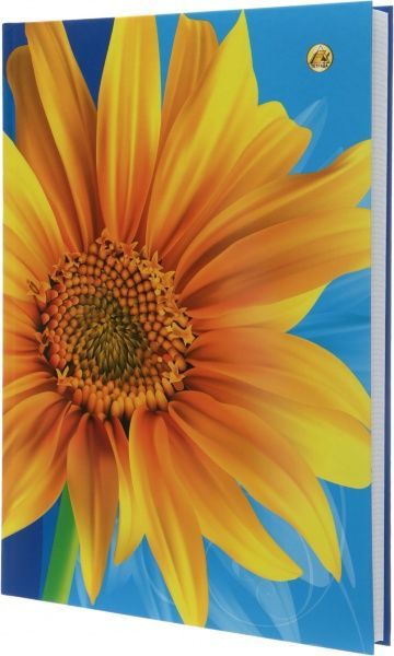 Книга канцелярская 7БЦ А4 176 л 12870 Тетрада