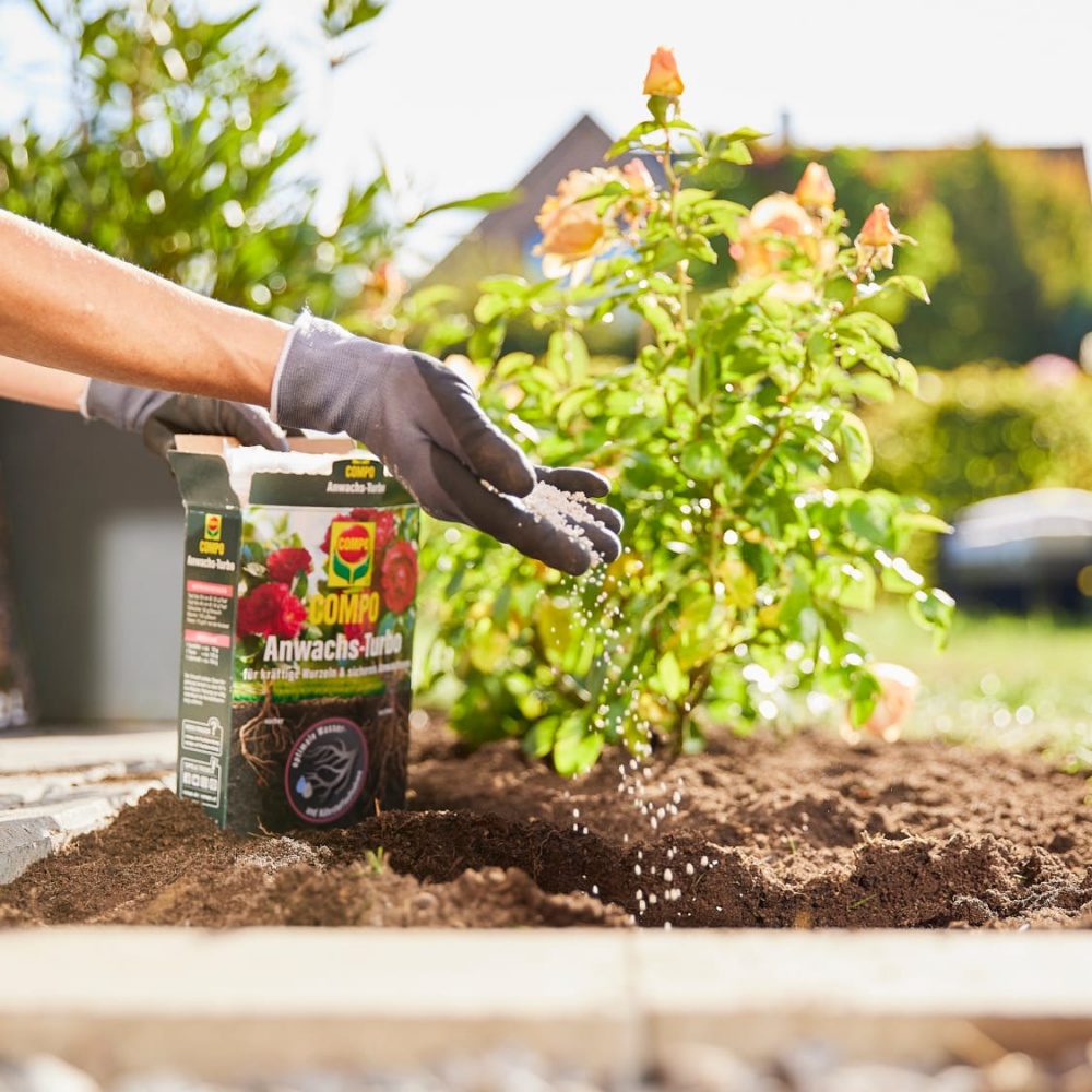 Удобрение гранулированное Compo TURBO® для активации корневой системы 700 г