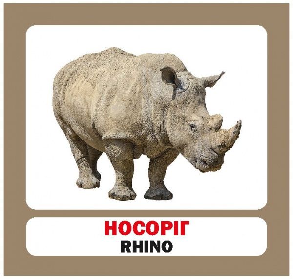 Книга «Навчальний посібник. Дикі тварини. англ-укр»