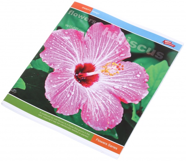 Тетрадь школьная 60 листов в линейку в ассортименте Мечты сбываются