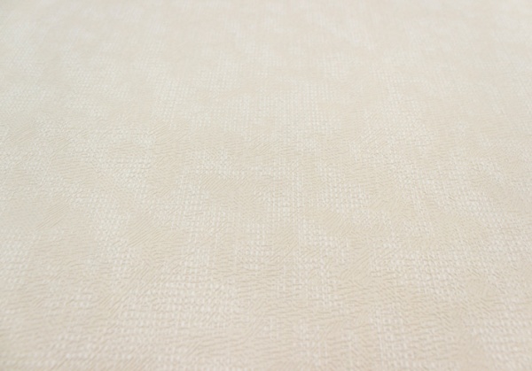 Обои виниловые на флизелиновой основе Vinil Зан ДХН-1425/2 1,06x10,05 м 