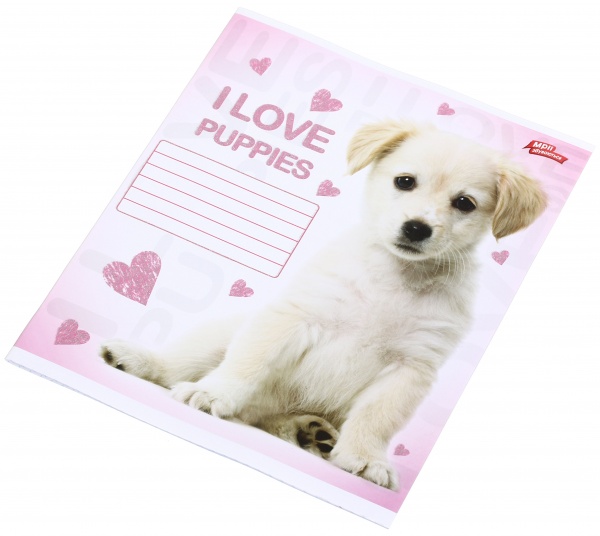 Тетрадь школьная с глитером 18 листов в клеточку в ассортименте Мечты сбываются