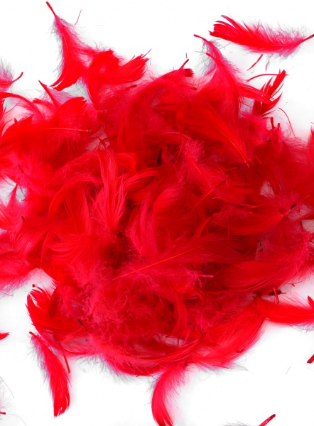 Наполнитель Перья 7012