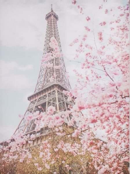 Картина Паризька весна 75x100 см Styler CA-12353 