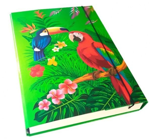 Папка-бокс Птицы 306\PT iTEM