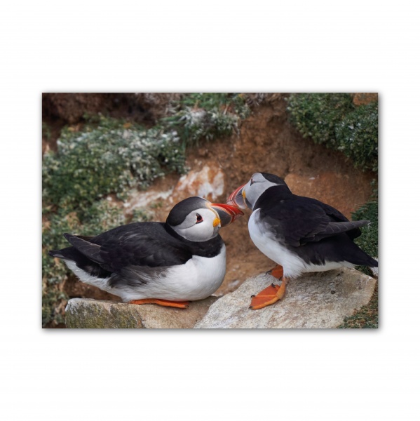 Картина Тупики 700x1000 см GIS UKRAINE 