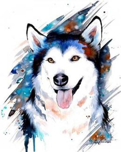 Картина стразами на подрамнике Хаски. Акварель 40x50 см 188574 Діамантові ручки 