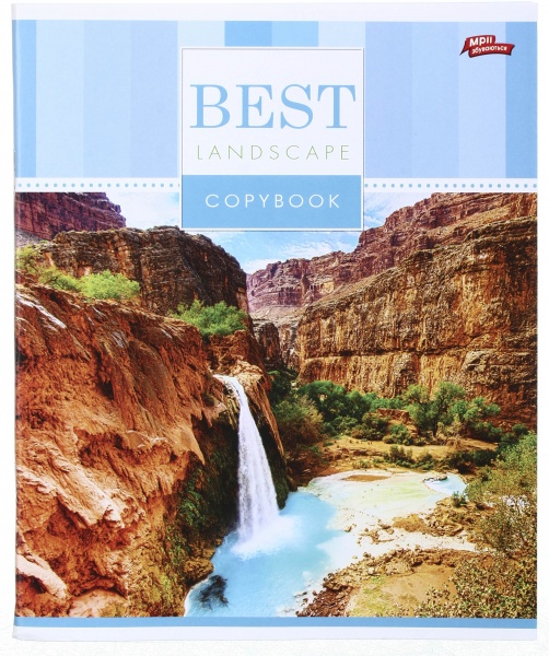 Тетрадь школьная 96 листов в клеточку в ассортименте Мечты сбываются