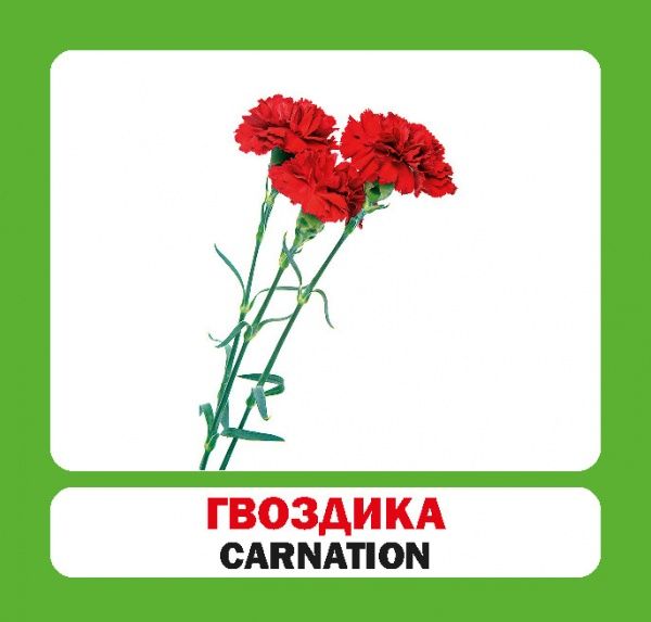 Книга «Навчальний посібник. Квіти. англ-укр» 978-966-975-183-6