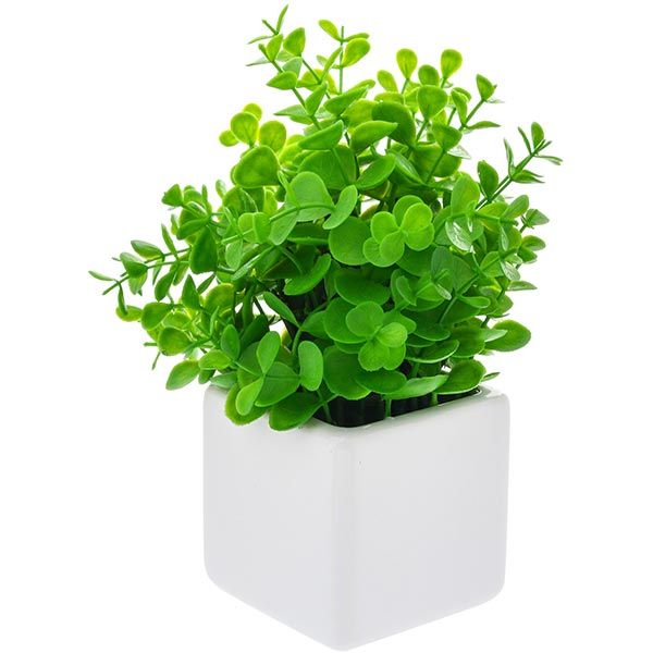 Рослина штучна Каллізія XD13-27