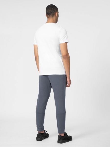 Брюки 4F 4FSS23TTROM139-25S р. M серый