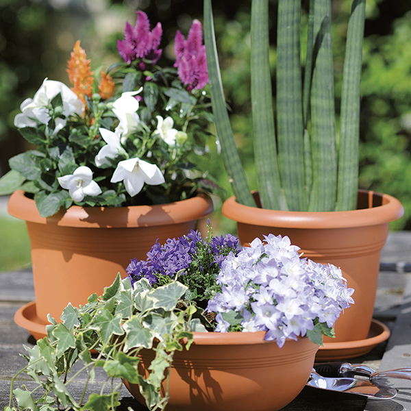 Піддон пластиковий Stefanplast Linea Mediterraneo 44 см круглий теракот (83440) 