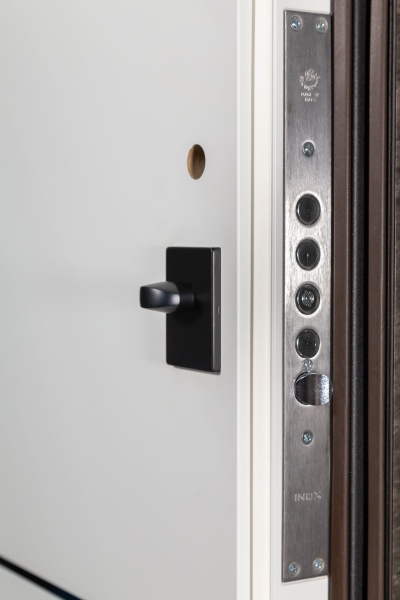 Дверь входная Булат Термо FORTEZZA (Квадро) 536 mamba morion / белый супермат 2050x950 мм правая