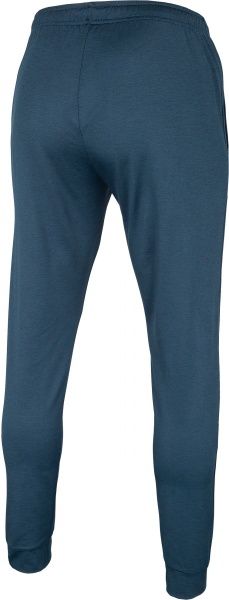 Брюки 4F NOSH4-SPMTR001-30M р. 2XL синий меланж