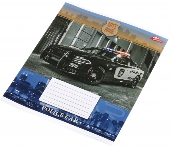 Зошит шкільний з глітером 12 аркушів у лінійку в асортименті Мрії збуваються