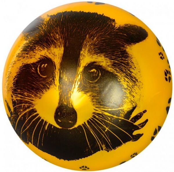 Мяч Енот (6 видов) в ассортименте 23 см MS 1899