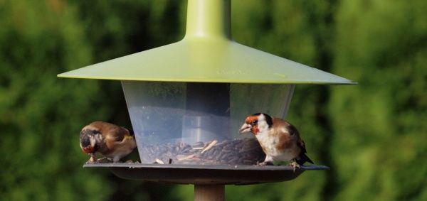 Кормушка для птиц Finch 28х17см зеленая