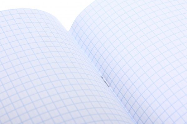 Тетрадь школьная уф-лак 96 листов в клеточку в ассортименте Мечты сбываются