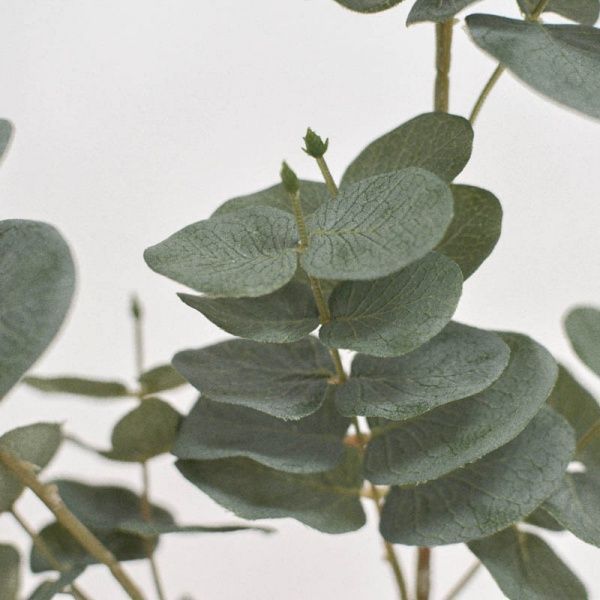 Растение искусственное Эвкалипт зеленый 28283J