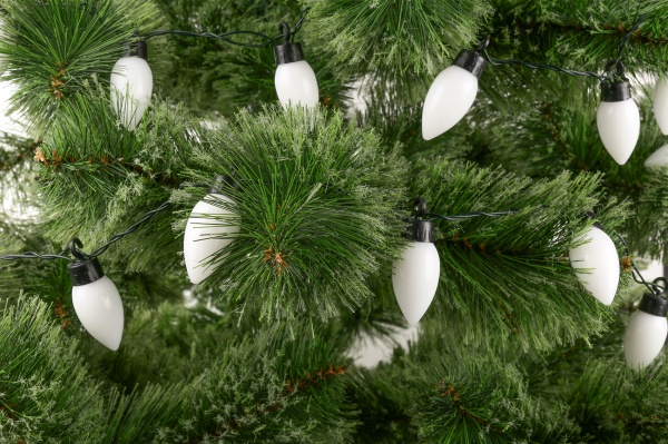 Электрогирлянда линейная Девилон белая 650934 встроенный светодиод (LED) 20 ламп 2 м 