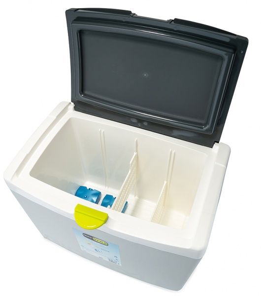 Термобокс Giostyle Shiver 43 л + 2x400 Icepacks 