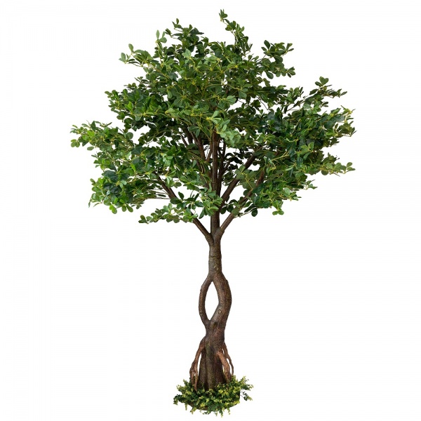 Дерево штучне Піттоспорум 250 см на підставці 360559