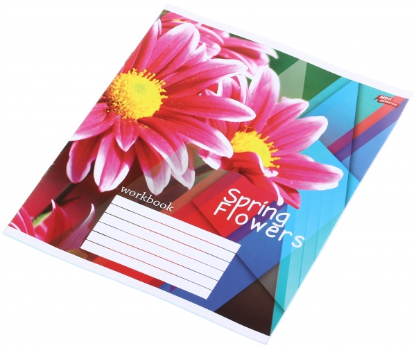 Тетрадь школьная уф-лак 18 листов в клеточку в ассортименте Мечты сбываются