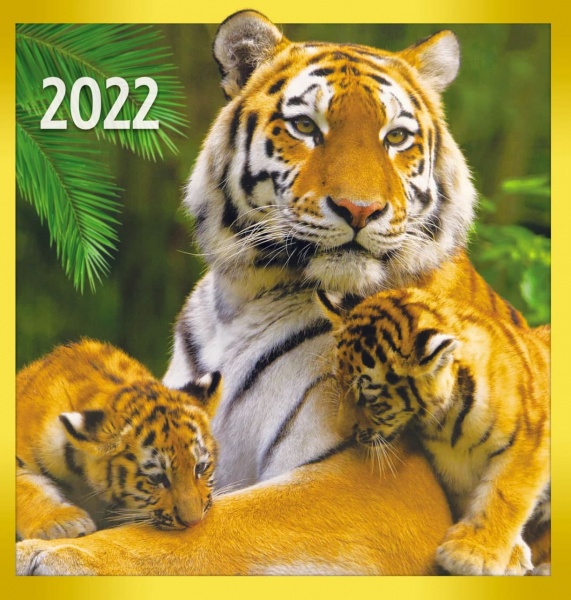 Календар Діана Плюс Рік тигра 2022