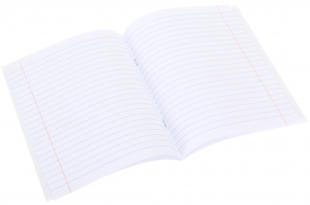 Тетрадь школьная Capybara24 12 листов скоба линия Nota Bene