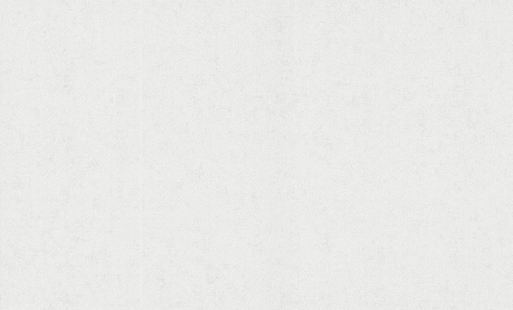 Шпалери вінілові на флізеліновій основі Bravo SIMPLE 516SP10 1,06x10,05 м