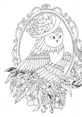 Книга-розмальовка Лулу Майо «Майже мільйон сов» 978-617-757-900-6